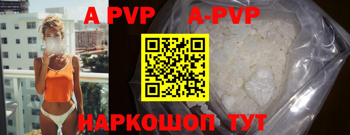 A PVP СК КРИС Чебоксары