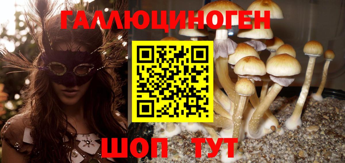 Псилоцибиновые грибы мухоморы Чебоксары