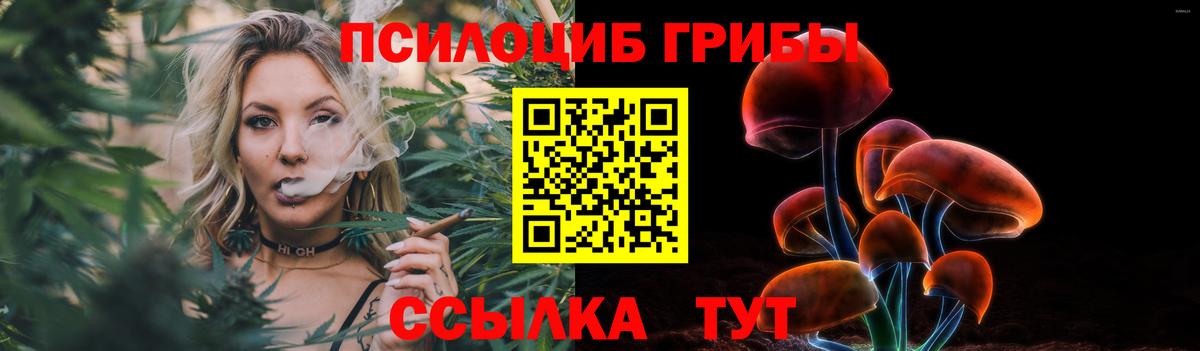 наркота  Вход с VPN  Чебоксары  Псилоцибиновые грибы мицелий 